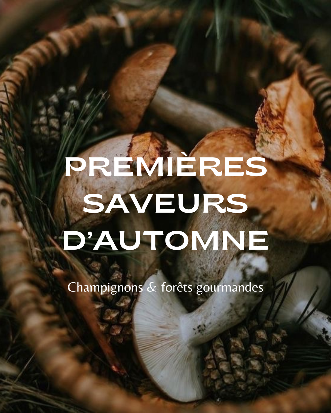 Champignons d’automne : l’élégance de la simplicité en cuisine