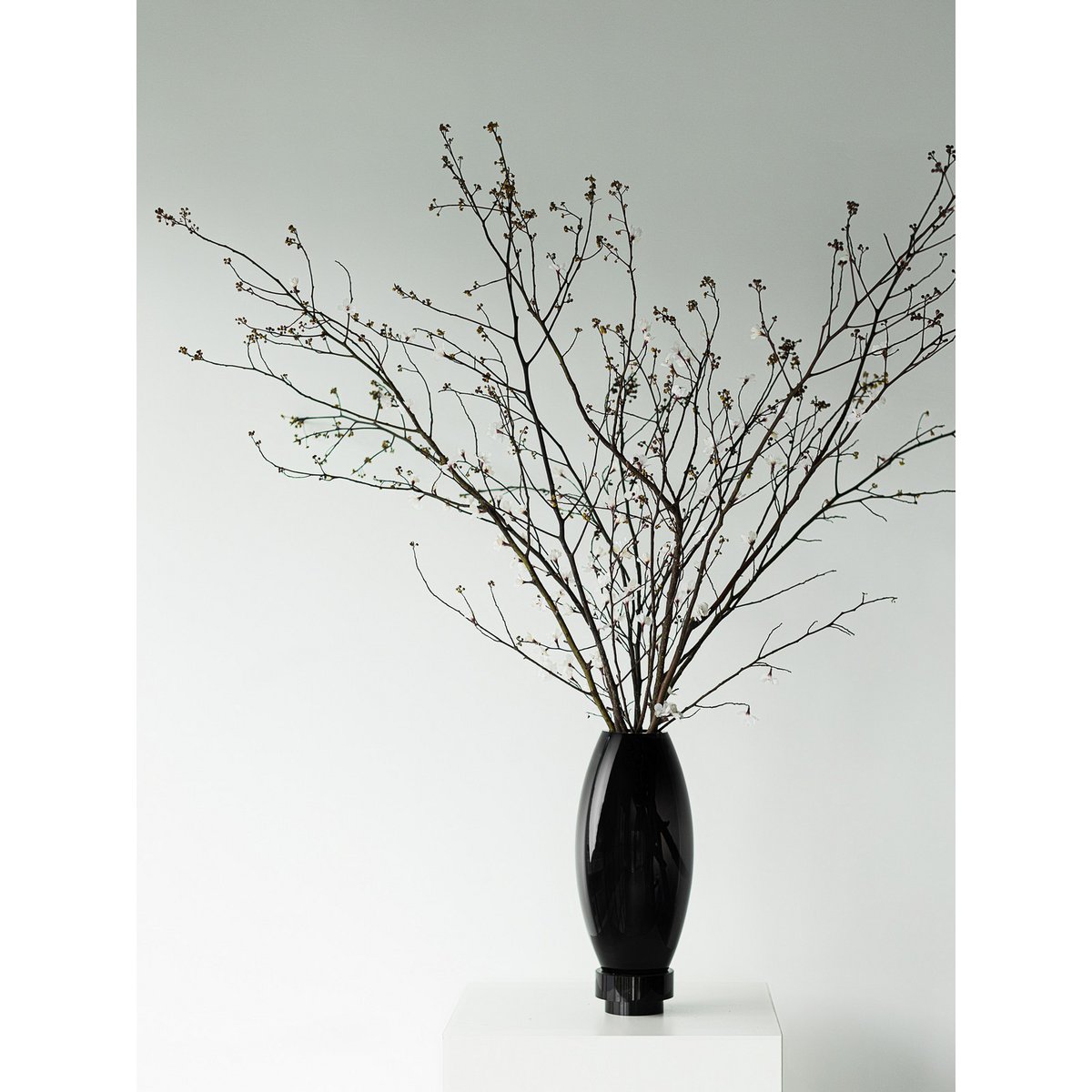 Art de la Table Grand vase moderne, design innovant, dos en verre haut de gamme. RUD44ZW Zistyhome art de la table