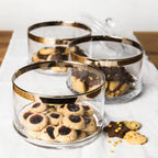 Bocal en verre EDZARD Vigo, avec couvercle, verre cristal soufflé à la bouche avec bord en platine, H 40 cm, ø 19 cm EDZARD-SHOP.com