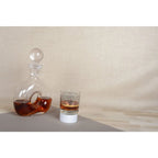 Carafe à whisky en verre avec trou 19x27.5cm AULICA