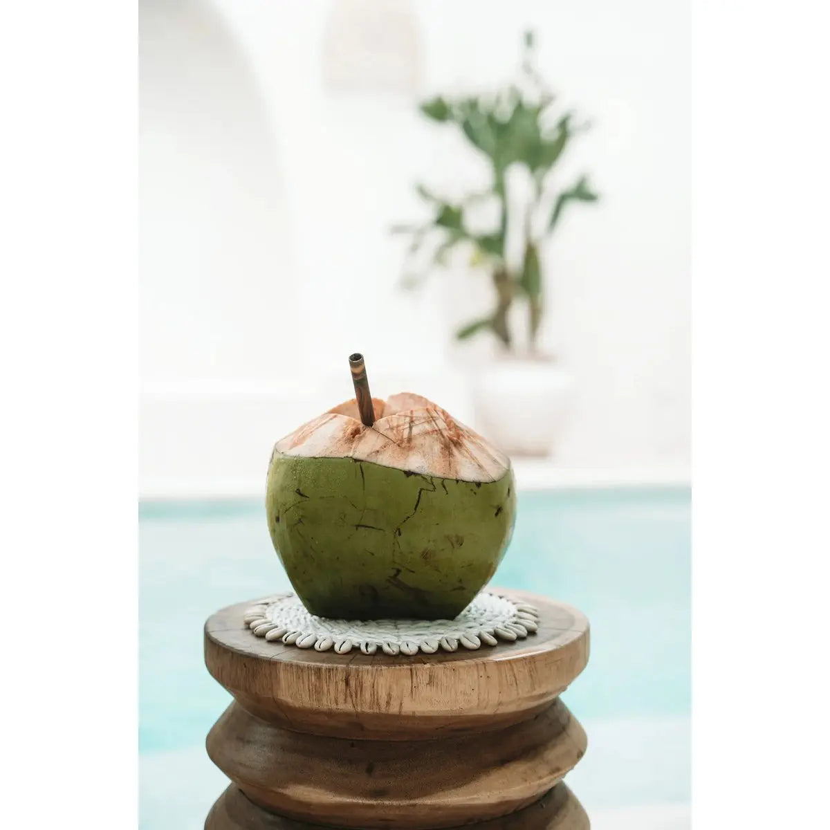 Coaster Seagrass Shell Pan - Blanc Bazar Bizar Living