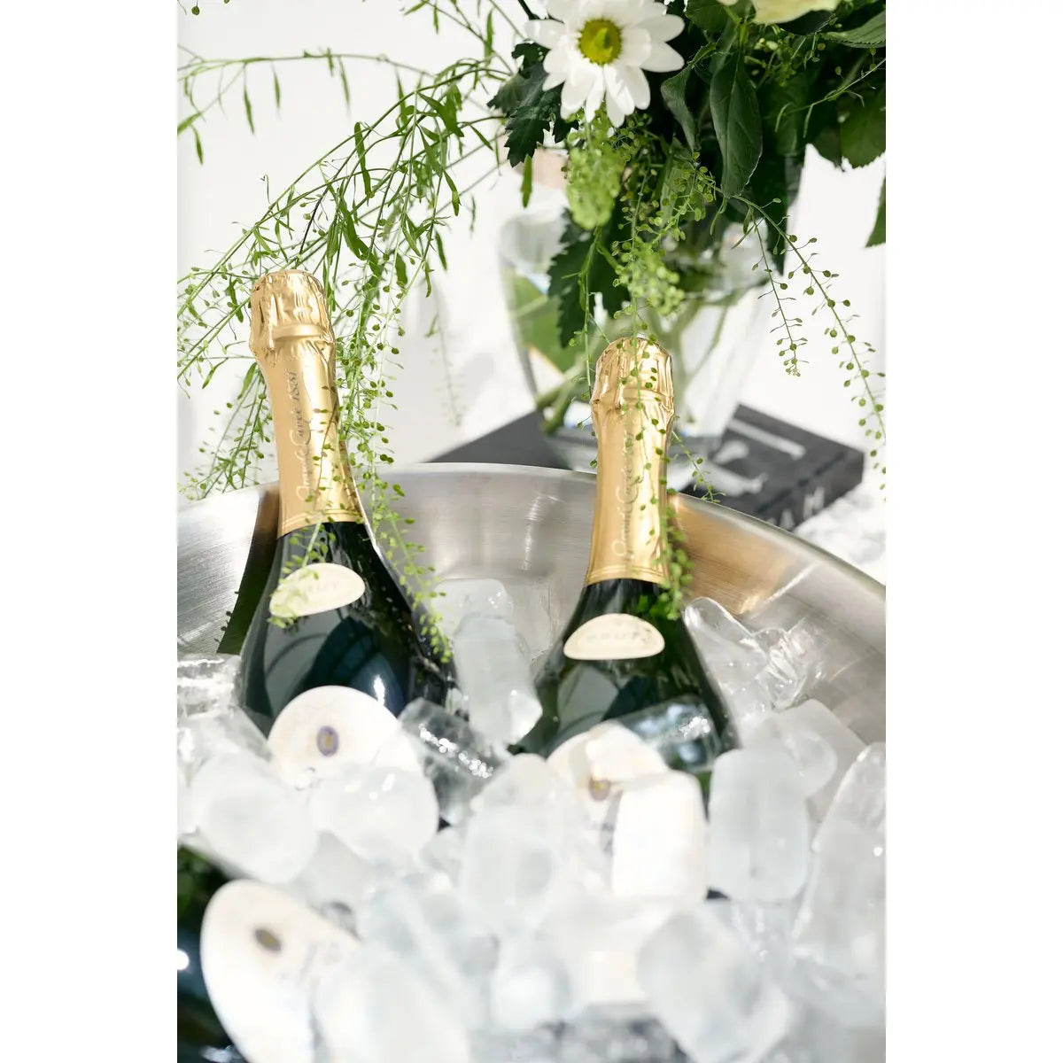 Coupe à champagne EDZARD Cara lot de 2 Ø 40 cm EDZARD-SHOP.com
