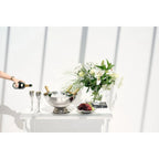 Coupe à champagne EDZARD Cara lot de 2 Ø 40 cm EDZARD-SHOP.com