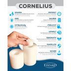 EDZARD porte-bougie chauffe-plat bougie permanente Cornelius Hauteur 15 cm, diamètre 8 cm, résistant à la chaleur jusqu'à 90 degrés EDZARD-SHOP.com