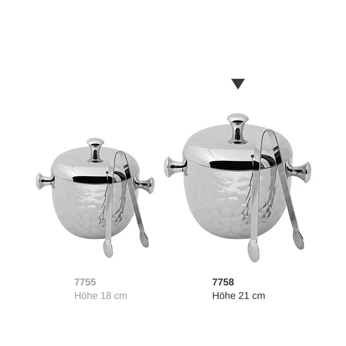 Edzard Eisimer Rico H 21 cm, avec des pinces au couvercle, au tamis et à la glace EDZARD-SHOP.com