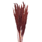 Fleurs séchées bambou 100 cm (10) Clayre & Eef.