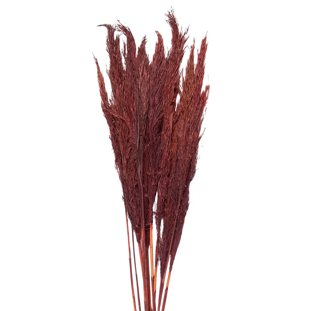 Fleurs séchées bambou 100 cm (10) Clayre & Eef.