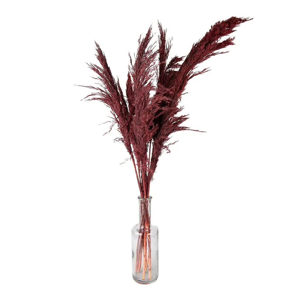 Fleurs séchées bambou 100 cm (10) Clayre & Eef.