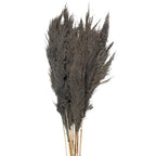 Fleurs séchées bambou 100 cm (10) Clayre & Eef.