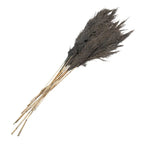Fleurs séchées bambou 100 cm (10) Clayre & Eef.