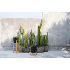 Le Charcoal High - Noir Naturel - L Bazar Bizar Living