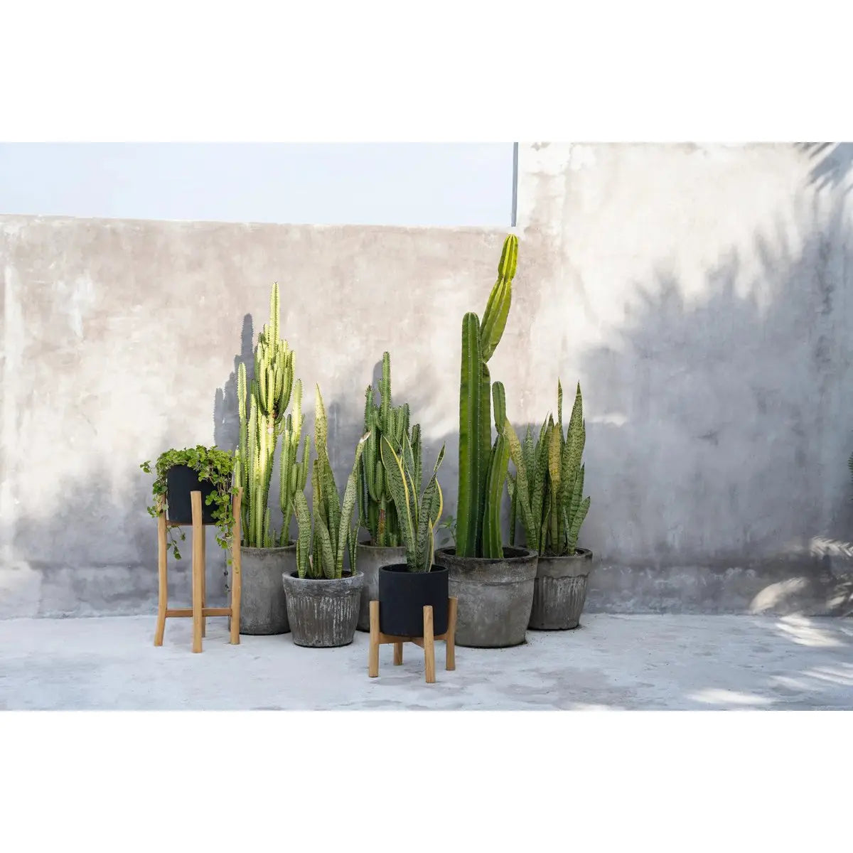 Le Charcoal High - Noir Naturel - L Bazar Bizar Living