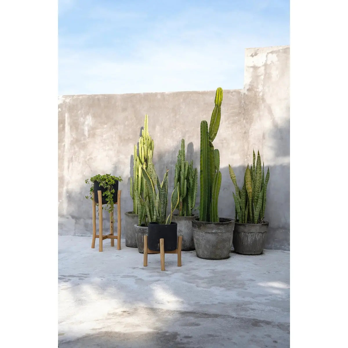 Le Charcoal Low - Noir Naturel - S Bazar Bizar Living