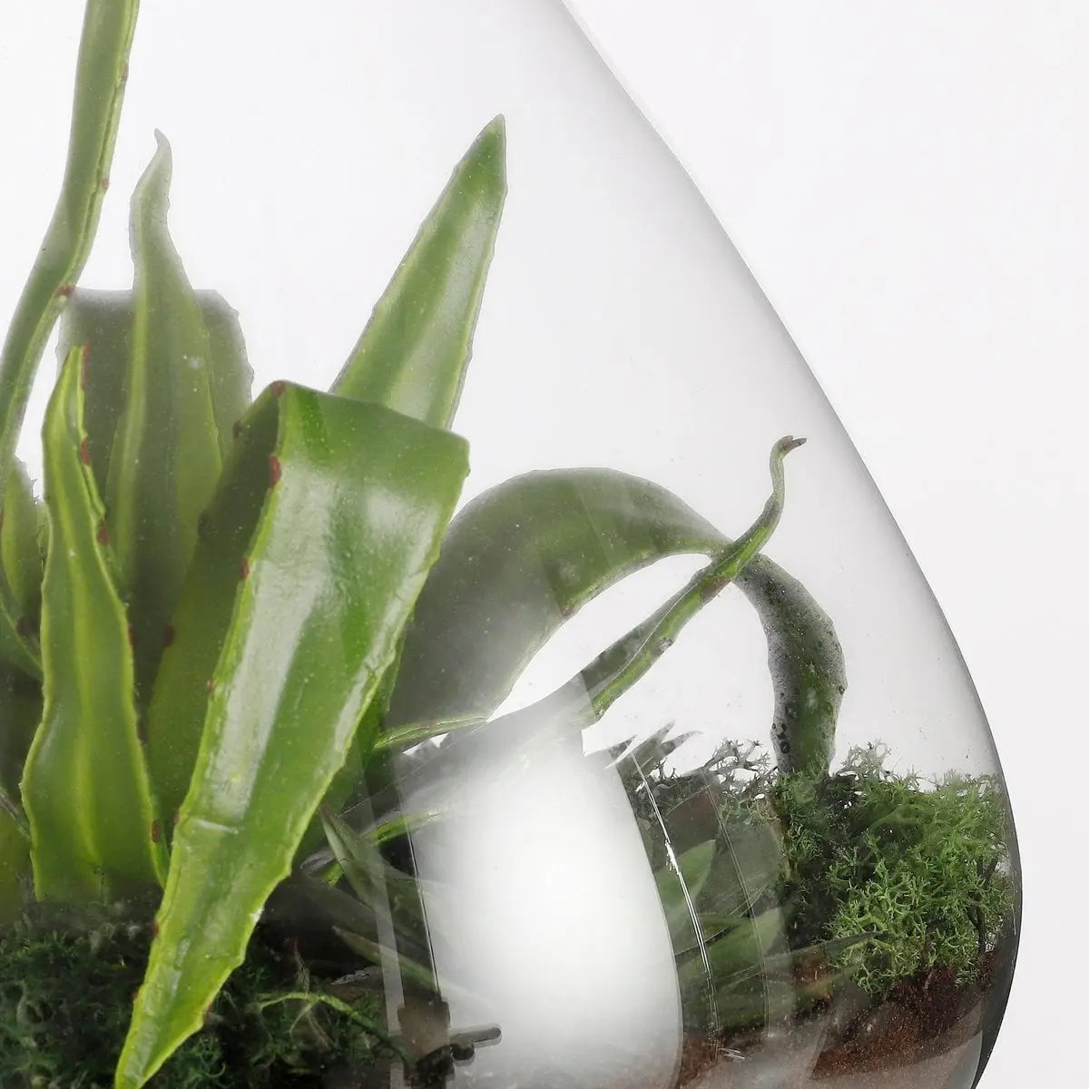 Pot de conservation Emily Transparent Mica Decorations