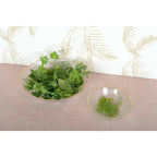 Saladier floral en verre avec bords dores 25cm AULICA