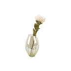 Vase Lustre Bio Present Time