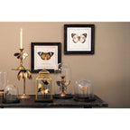 Verbe Ø 23x22 cm Brown Glass Glass Bell en verre Clayre & Eef.