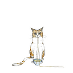 Bouteille en verre RAMEN CHAT 0,7l
