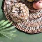 Set de table (Ensemble de 4 ou 6) MATARAM | Set de table rond Boho en fibre de bananier et jonc de mer 38 cm